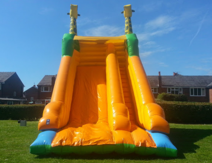 Giraffe Slide